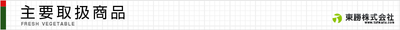 カット葱、カット野菜、丸野菜等　主要取扱商品